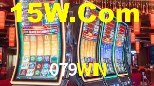 Programa VIP 079WIN